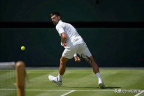 开云-浓眉哥焦点对战，德约科维奇与70激战日本队分钟，比赛规则变更胜负难料！